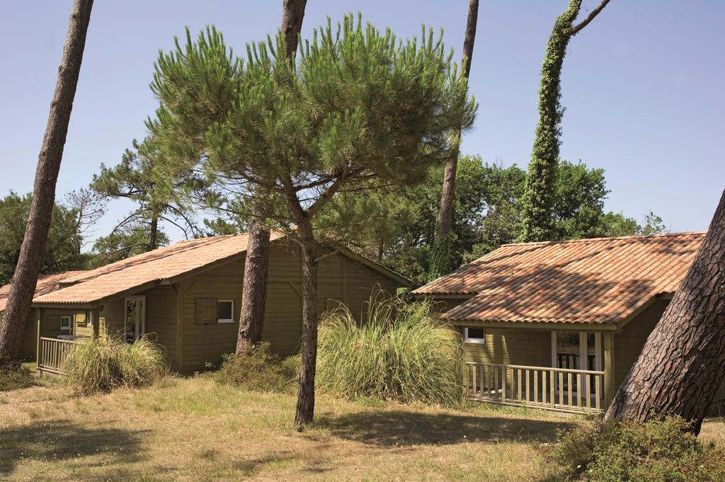 Village Vacances La Foret Des Landes 타노 외부 사진